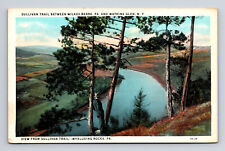 WB Postcard Wyalusing NY New York Scenic View Sullivan Trail Man in Suit Hat picture