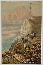West Coast Of Scotland, Scottish Highlands, Sheep, Tuck’s Oilette Postcard 1906 picture