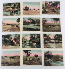 Vintage Australian Outback Farming Sheep Agricultural Set of 12 Small Cards picture