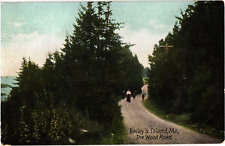 The Wood Road Bailey Island Maine Divided Postcard c1907-09 picture