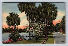 New Port Richie FL-Florida, Along Cotee River Drive, Vintage c1953 Postcard picture