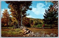 Greetings Canaan Connecticut Forest Lakefront Fall Autumn Mountain VNG Postcard picture