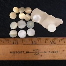 Vintage Mother of Pearl Buttons 14 Shell Carved Shank Back 1/2