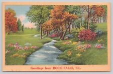 Postcard Greetings From Rock Falls Illinois Scenic NYCE Landscape Locals picture
