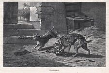 Dog Rat Terrier & Cairn Terrier Hunting, 1870s Antique Engraving Print & Article picture