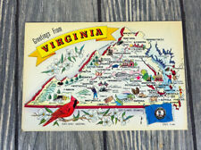 Vintage Greetings From Virginia Cardinal Postcard  picture