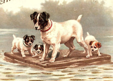 1907 TO MY VALENTINE DOG PUPPIES ON RAFT HARCOURT IOWA UNDIVIDED POSTCARD 44-139 picture