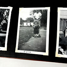 Denver, Colorado 1950s Family Photo Album 200+ Photos Aspen Horses Cars Lincoln picture