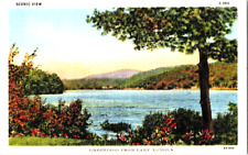 Greetings from Lake Lamoka New York postcard a57 picture