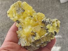 RARE,GORGEOUS,LUSTROUS BRIGHT YELLOW BRUCITE CRYSTALS,PAKISTAN  picture