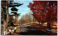 Postcard - Magnificent Autumn - Nature Scene picture