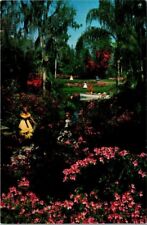 Vintage Florida Cypress Gardens Azalea Time Postcard picture