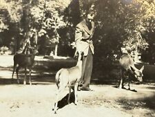 2O Photograph Handsome Man Standing In Sunshine Feeding Wild Deer Does 1920-30's picture