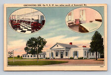 Greyhound Inn US 27 Somerset Kentucky KY Roadside America Postcard picture