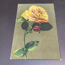 Antique Beautiful Yellow Rose Postcard Serie artistically Velluto Milano 1125 picture