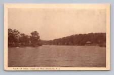 Deal Lake WEST ALLENHURST New Jersey Antique Monmouth County Postcard Cover 1915 picture