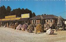 Custer, SD South Dakota KEN'S MINERALS~Indian Trading Post ROADSIDE 4X6 Postcard picture