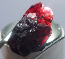 156.70Ct GIE Certified Burmese Natural Crystal Red Ruby Rough Untreated Gemstone picture