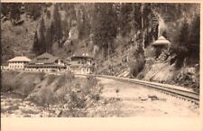 Vintage Albertype Postcard General View of Shasta Springs CA California    F-319 picture