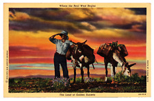 The Land of Golden Sunsets, Where The Real West Begins, Sunset, Vintage Postcard picture