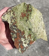 1Lb 9.2oz Rhyolite End Cut Slab Rough Cabbing Lapidary Standing Display picture