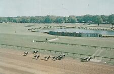 Saratoga Race Track New York Horse Racing Lake Vintage Postcard picture