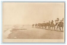 c1920's Camels In Lebanon, Beach Scene RPPC Photo Unposted Vintage Postcard picture