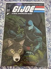 GI JOE A REAL AMERICAN HERO 301 SNAKE EYES TIMBER ETHAN YOUNG VARIANT COVER /500 picture