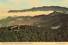 Mt LeConte Smoky Mountain National Park TN Scenic View Vintage Postcard Unposted picture