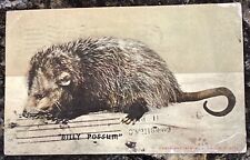Postcard Opossum Didelphis marsupialis “Billy Possum” Postmark 1909 GK New York picture