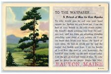 1911 A Message To The Wayfarer Tall Tree Easton Maine ME Posted Vintage Postcard picture
