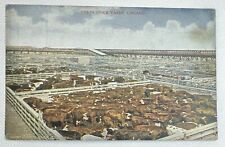 Chicago IL Illinois, Union Stock Yards Cattle Antique Vintage Souvenir Postcard picture