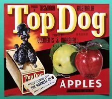 NOS Vintage 1950s Top Dog Apple Crate RARE picture