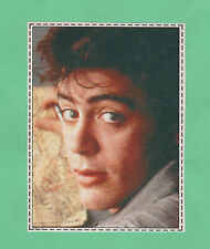 Robert Downey/Iron Man    1987  Fick Journalen Possible RC ?? picture