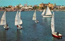 Vtg. c1960's Sailboats Along Waterfront St. Petersburg Florida FL Postcard p1135 picture