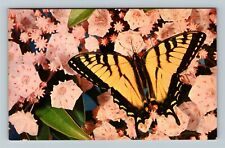 East Union IN-Indiana, General Greetings, Butterfly, Flowers, Vintage Postcard picture