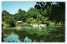 c1960 Rainbow Springs Underwater Wonderland Dunnellon Florida Vintage Postcard picture
