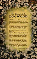 Vintage Postcard- N660. Legend of the Dogwood. Story. Unposted 1930 picture