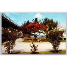 Postcard FL Key West Royal Poinciana Pigeon Key Overseas Highway picture