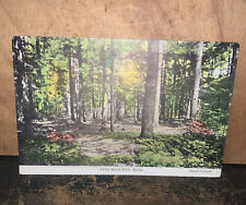 Antique Postcard Ferry Beach Park, Maine USA. Hand Colored.Scarborough picture