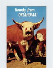 Postcard Howdy from Oklahoma Hereford USA picture