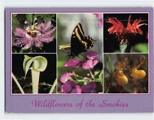 Postcard Wildflowers of the Great Smoky Mountains picture