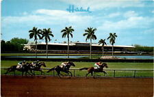 Vintage Hialeah Racecourse Postcard - Thrilling Horse Race picture