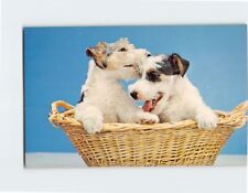 Postcard Two Cute Puppies in a Basket picture