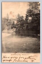 c1905 Old Swimming Hole Dansville New York P637 picture