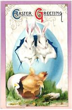 EASTER GREETING.HATCHED BUNNIES & CHICK.VTG 1911 EMBOSSED POSTCARD*B27 picture