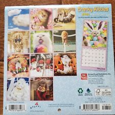 Small Calendar 2024 Kittens Cats Mini Wall Hanging 7x14 Open Funny Kittens Cats picture