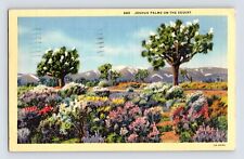 Postcard Joshua Tree Palms Flower Desert 1940 Posted Linen Oceanside CA picture