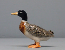 Old Northern Rose Duck picture