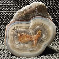 Stunning Laguna Agate POLISHED Nodule W/Shadows, Incredible Dispaly Piece, Mex picture